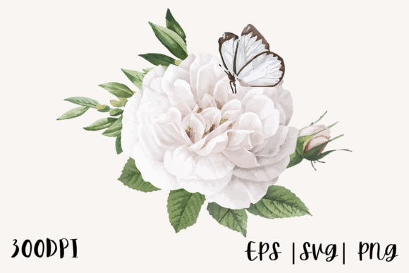 Download Decorative Watercolor Rose Illustration - Water Collection