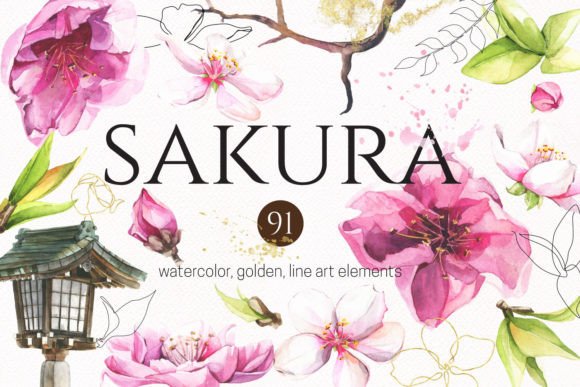 Download Sakura. PNG Watercolor, Golden Flowers - Water Collection