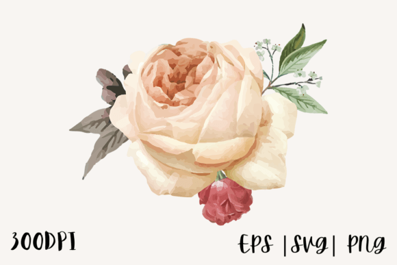 Download Decorative Watercolor Rose Illustration - Water Collection