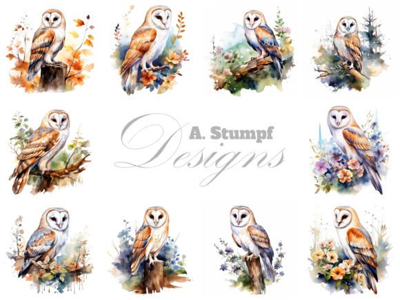Download Barn Owl Clipart Watercolor Bird Images - Water Collection
