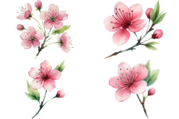 Download 4 Watercolor Clipart of Flowers Bundle - Water Collection