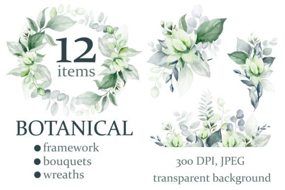 Download Watercolor Botanical Clipart | PNG - Water Collection