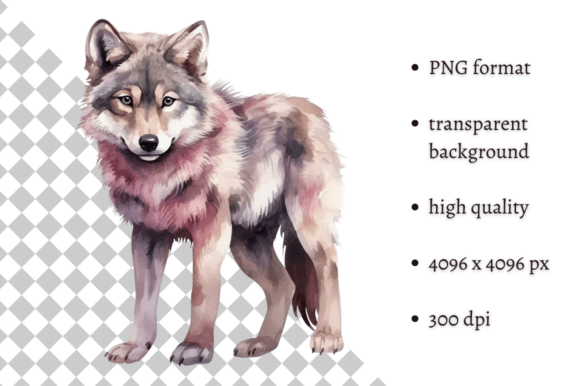 Download Watercolor Woodland Wolf PNG Clipart - Water Collection
