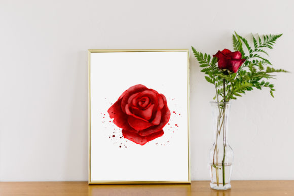 Download Red Rose Watercolor Illustration PNG - Water Collection