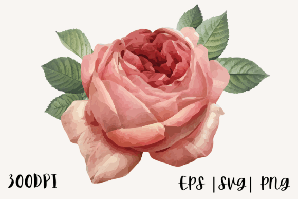Download Decorative Watercolor Rose Illustration - Water Collection