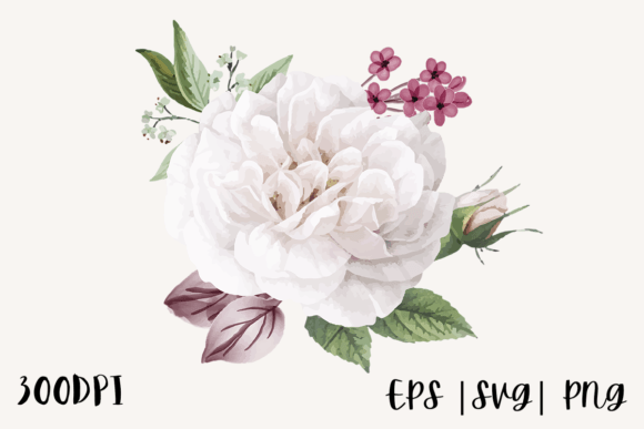 Download White Watercolor Rose Illustration Png - Water Collection