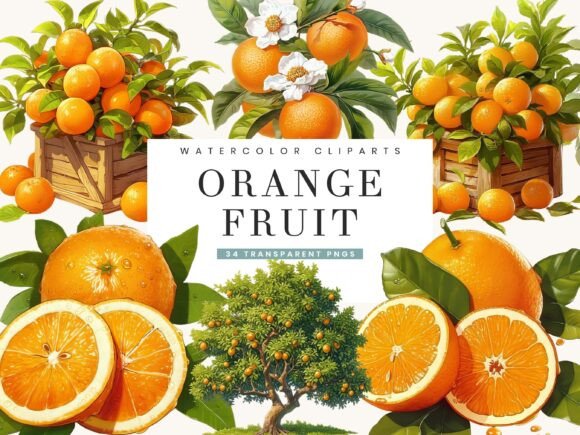 Download Watercolor Italy Orange Fruit Clipart - Water Collection