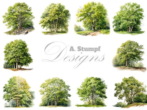 Download Beech Tree Watercolor Botanical Clipart - Water Collection