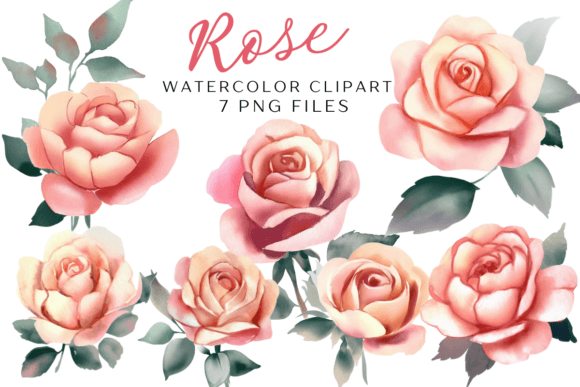 Download Watercolor Rose Flower Clipart - Water Collection