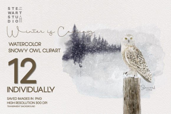 Download Watercolor Snowy Owls Clipart - Water Collection