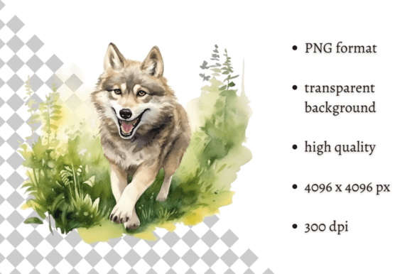 Download Watercolor Wolf PNG Illustration - Water Collection
