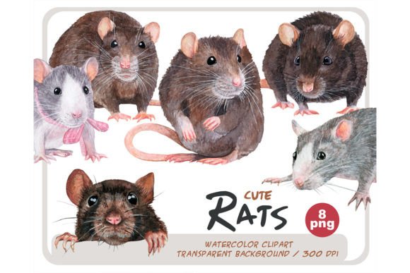 Download Watercolor Realistic Rats Clipart Set - Water Collection