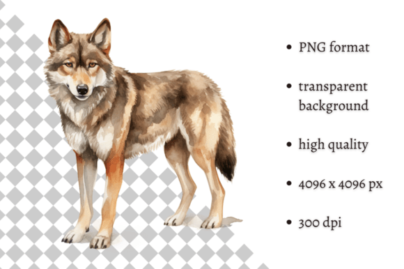 Download Watercolor Woodland Wolf PNG Clipart - Water Collection
