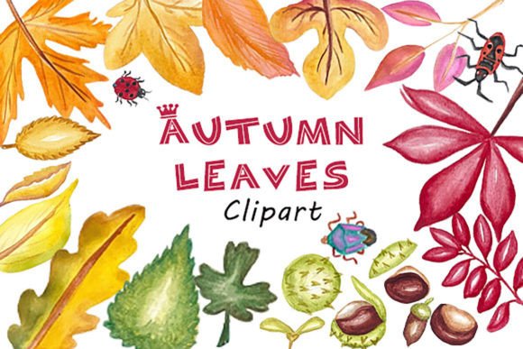 Download Watercolor Autumn Leaves Clipart - Water Collection