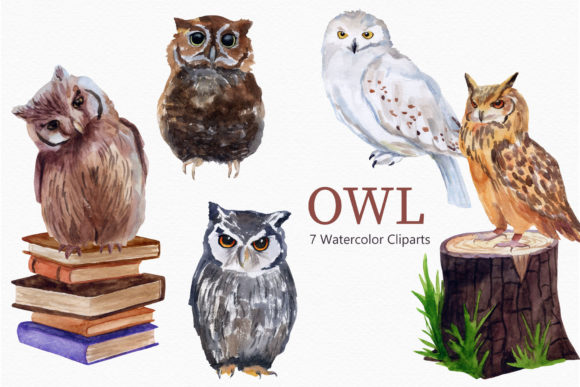 Download Owl Watercolor Clipart Bird - Water Collection