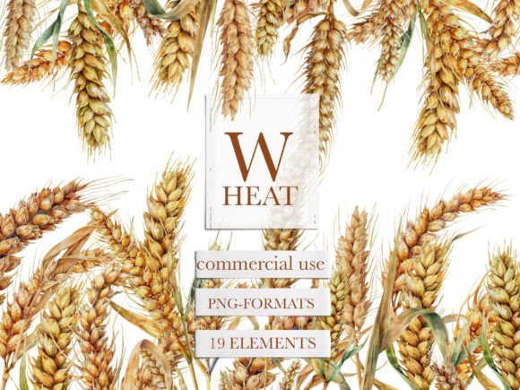 Download Wheat Watercolor Clipart, Wheat Clipart - Water Collection