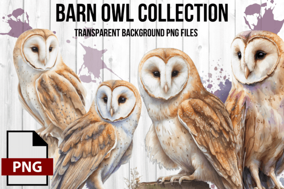 Download Watercolor Vintage Barn Owl Graphic Set - Water Collection